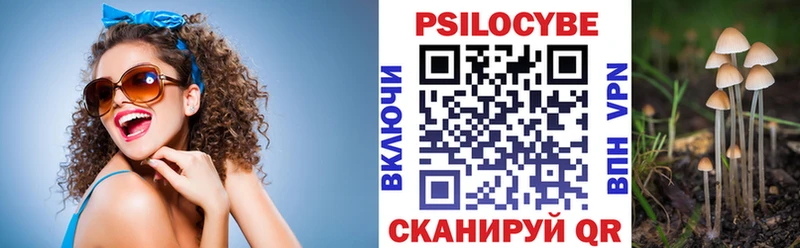 Купить  Дзержинский  Галлюциногенные грибы Psilocybe 
