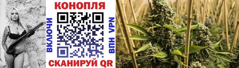 МАРИХУАНА сатива  Купить где  Дзержинский 